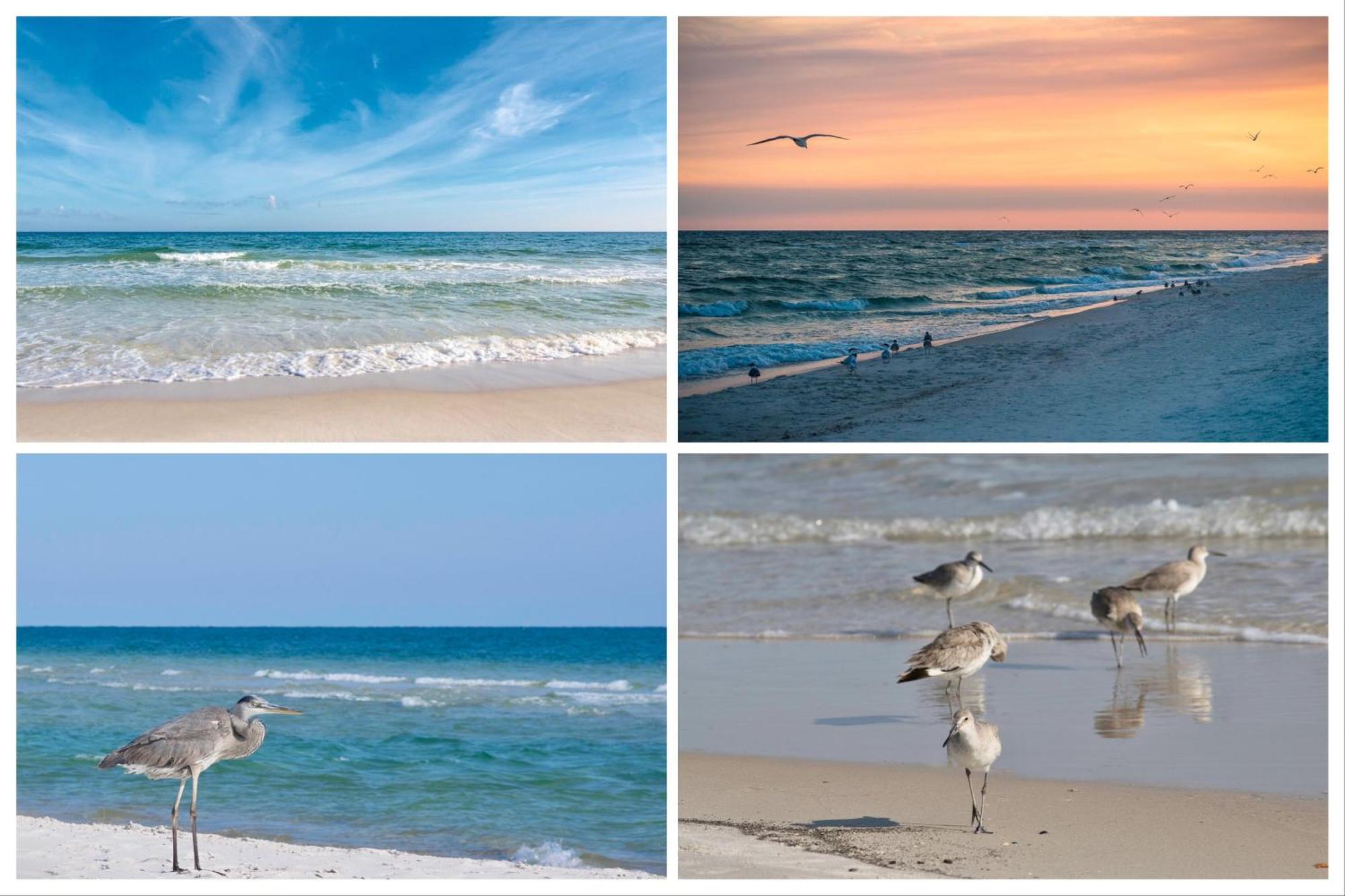 Island Winds East Unit 401 Gulf Shores Quarto foto